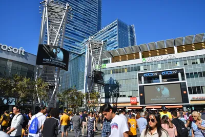 DSC_7168 (Large).JPG